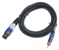 XLR-Mama/RCA-Tata