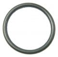 AMICA O-Ring                                                      