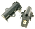 SCHUNK PERII CARBUNE / CARBUNI